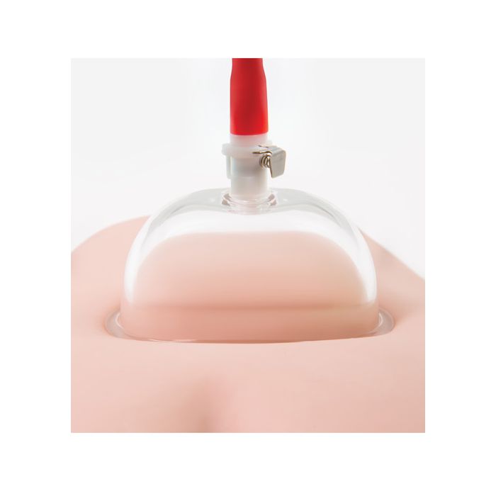 Blush Temptasia Advanced Pussy Pump System